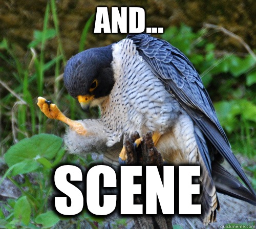 And... scene  Success Falcon