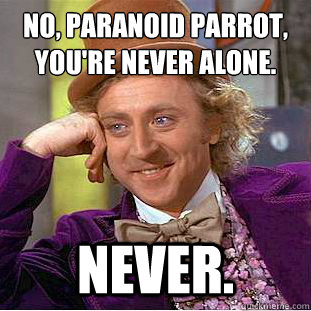 No, paranoid parrot, you're never alone. Never.  Creepy Wonka