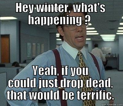 HEY WINTER, WHAT'S HAPPENING ?  YEAH, IF YOU COULD JUST DROP DEAD, THAT WOULD BE TERRIFIC. Bill Lumbergh