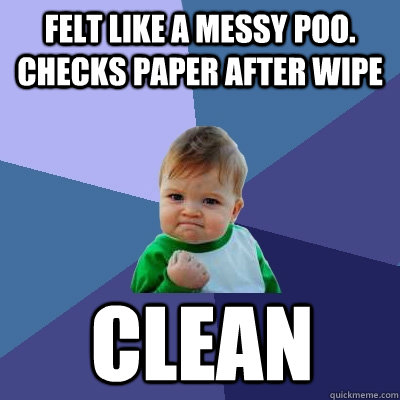 Felt like a messy poo. checks paper after wipe clean  Success Kid
