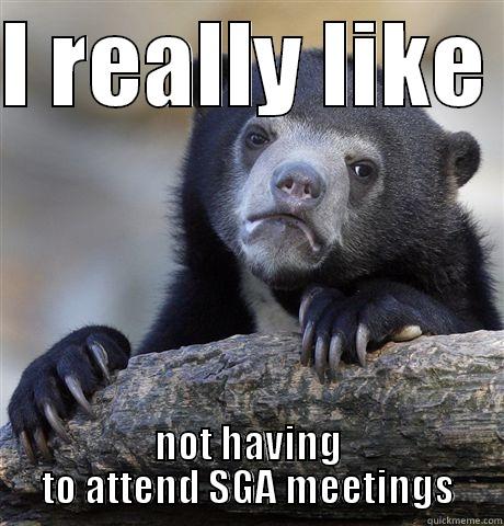 I REALLY LIKE  NOT HAVING TO ATTEND SGA MEETINGS Confession Bear