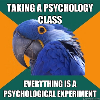taking a psychology class everything is a psychological experiment  Paranoid Parrot