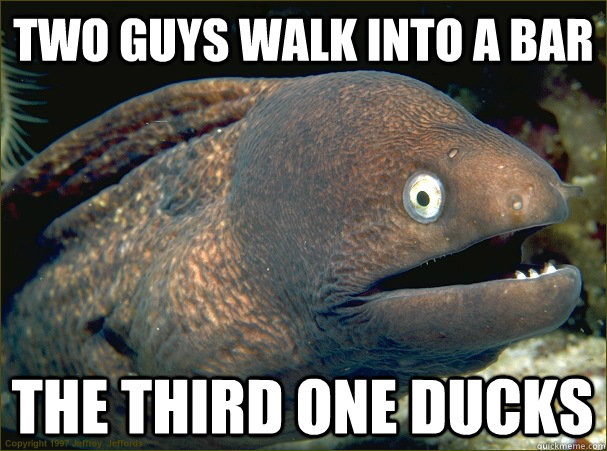 two guys walk into a bar the third one ducks  Bad Joke Eel