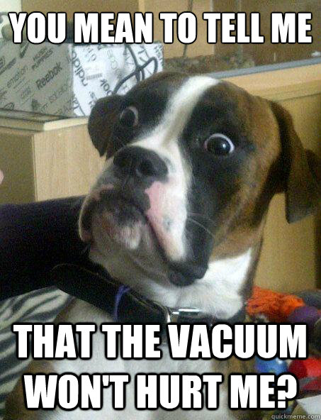 YOU MEAN TO TELL ME THAT THE VACUUM WON'T HURT ME? - YOU MEAN TO TELL ME THAT THE VACUUM WON'T HURT ME?  Baffled boxer