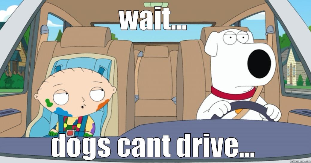 WAIT... DOGS CANT DRIVE... Misc