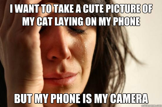 I want to take a cute picture of my cat laying on my phone but my phone is my camera  First World Problems