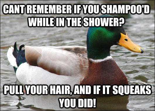 Cant remember if you shampoo'd while in the shower? Pull your hair, and if it squeaks you did!  Actual Advice Mallard