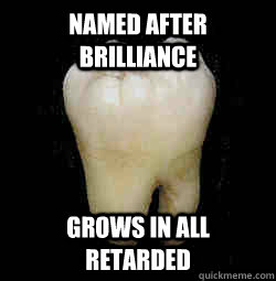 Named After Brilliance Grows in all retarded  Scumbag Wisdom Tooth