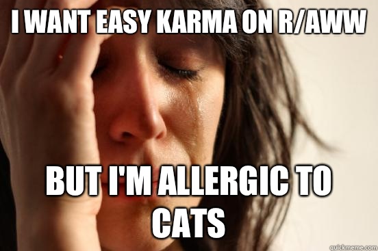 I want easy karma on r/aww but I'm allergic to cats  First World Problems