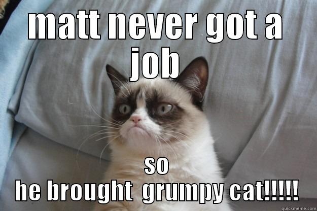 matts cat ran away - MATT NEVER GOT A JOB SO HE BROUGHT  GRUMPY CAT!!!!! Grumpy Cat