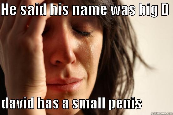 HE SAID HIS NAME WAS BIG D   DAVID HAS A SMALL PENIS            First World Problems