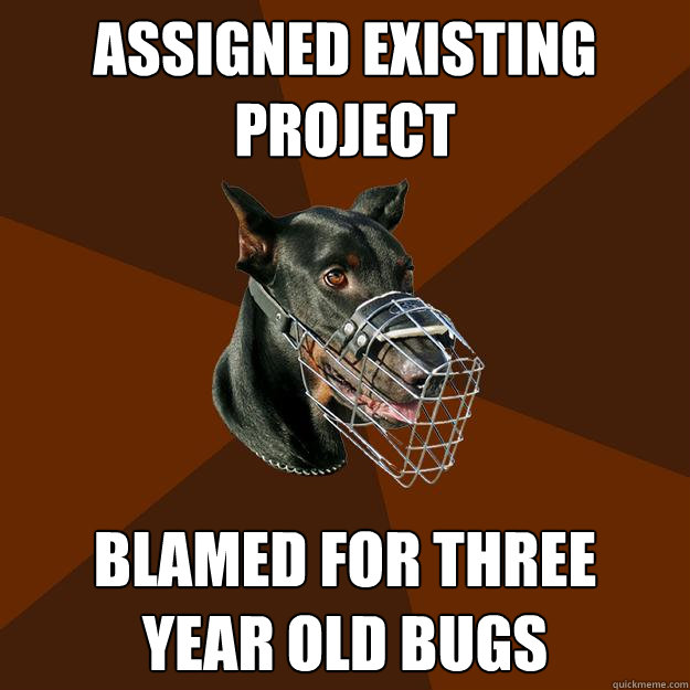 ASSIGNED EXISTING PROJECT BLAMED FOR THREE 
YEAR OLD BUGS - ASSIGNED EXISTING PROJECT BLAMED FOR THREE 
YEAR OLD BUGS  Developer Doberman