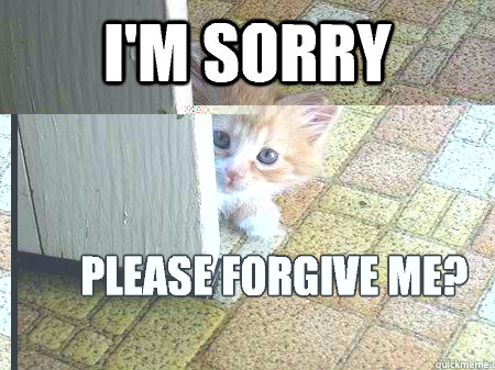 I'm sorry Please forgive me?  Sorry Cat