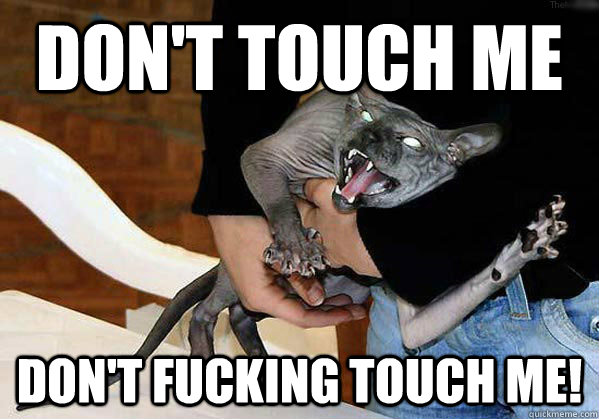 DON'T TOUCH ME DON'T FUCKING TOUCH ME! - DON'T TOUCH ME DON'T FUCKING TOUCH ME!  Early Morning Cat