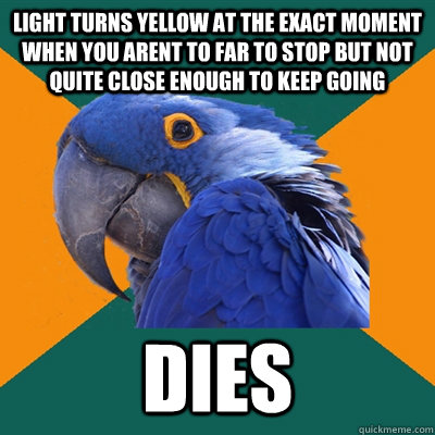 light turns yellow at the exact moment when you arent to far to stop but not quite close enough to keep going dies  Paranoid Parrot