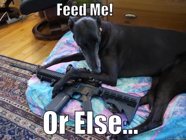                     FEED ME!                           OR ELSE... Misc