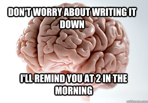 don't worry about writing it down I'll remind you at 2 in the morning   Scumbag Brain