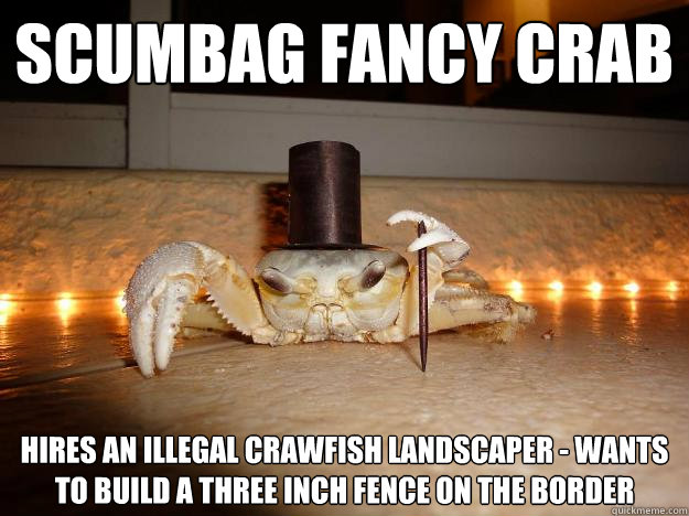 Scumbag fancy crab Hires an illegal crawfish landscaper - wants to build a three inch fence on the border  - Scumbag fancy crab Hires an illegal crawfish landscaper - wants to build a three inch fence on the border   Fancy Crab