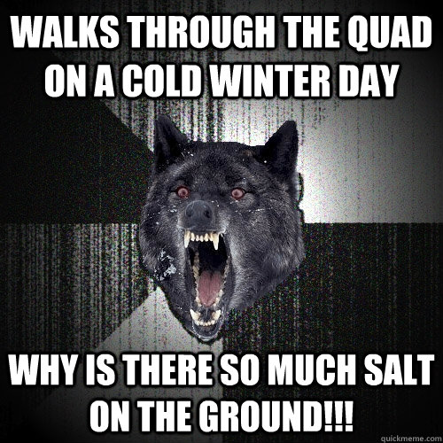Walks through the quad on a cold winter day Why is there so much salt on the ground!!!  Insanity Wolf