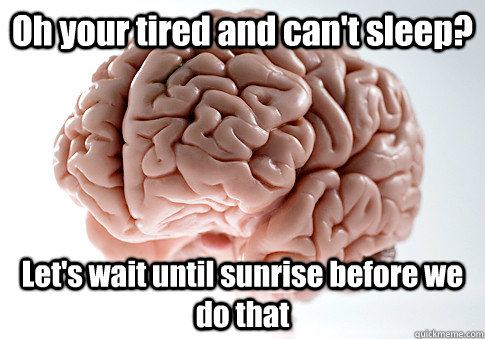 Oh your tired and can't sleep?  Let's wait until sunrise before we do that  Scumbag Brain
