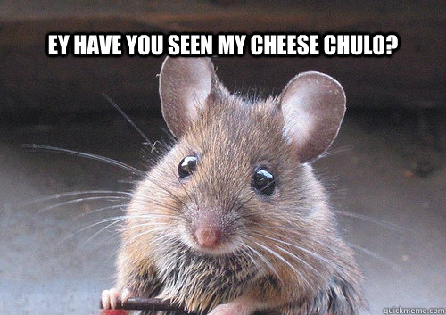 Ey have you seen my cheese chulo?  