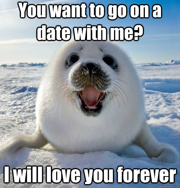 You want to go on a date with me? I will love you forever - You want to go on a date with me? I will love you forever  Easily Pleased Seal