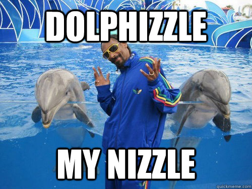 Dolphizzle My Nizzle  