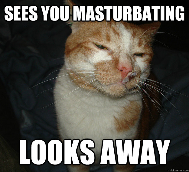 sees you masturbating looks away  Cool Cat Craig