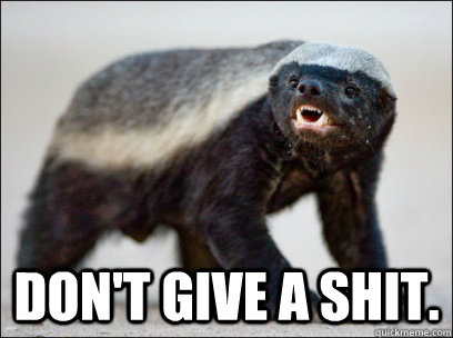  don't give a shit. -  don't give a shit.  Honey Badger MAD