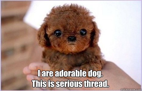 I are adorable dog.
This is serious thread.  