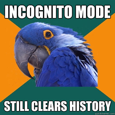 Incognito mode Still clears history  Paranoid Parrot