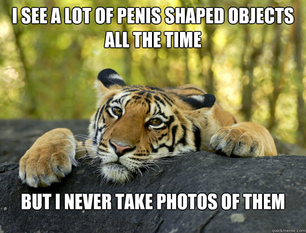 I see a lot of penis shaped objects all the time But I never take photos of them  Confession Tiger