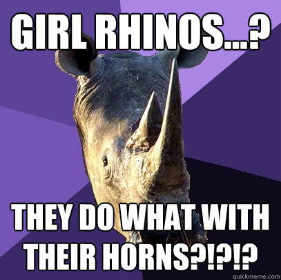 Girl Rhinos...? They do what with their horns?!?!?  Sexually Oblivious Rhino