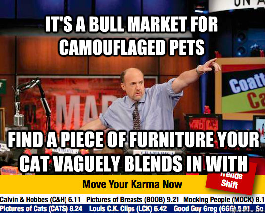 It's a bull market for camouflaged pets  Find a piece of furniture your cat vaguely blends in with - It's a bull market for camouflaged pets  Find a piece of furniture your cat vaguely blends in with  Mad Karma with Jim Cramer