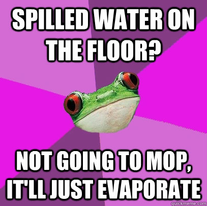 Spilled water on the floor? not going to mop, it'll just evaporate - Spilled water on the floor? not going to mop, it'll just evaporate  Foul Bachelorette Frog