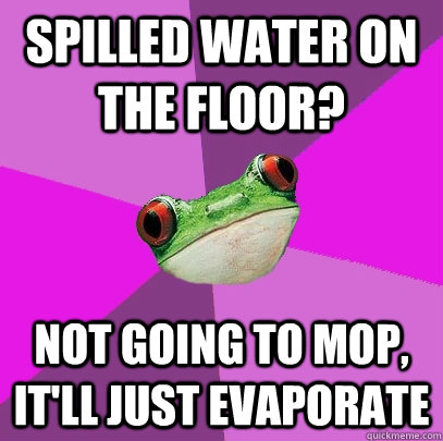 Spilled water on the floor? not going to mop, it'll just evaporate  Foul Bachelorette Frog