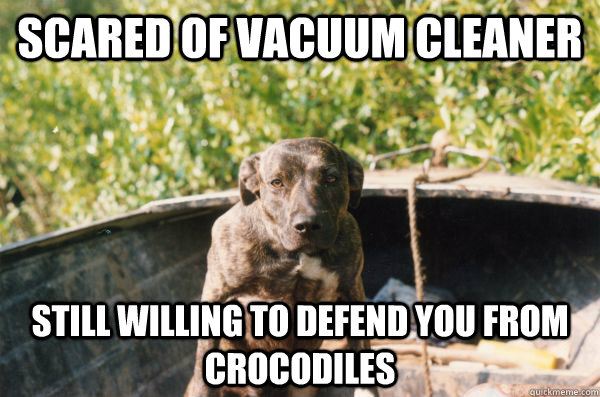 Scared of vacuum cleaner Still willing to defend you from crocodiles - Scared of vacuum cleaner Still willing to defend you from crocodiles  Good Dog Sui