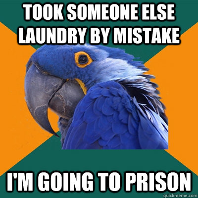 TOOK SOMEONE ELSE LAUNDRY BY MISTAKE I'M GOING TO PRISON  Paranoid Parrot