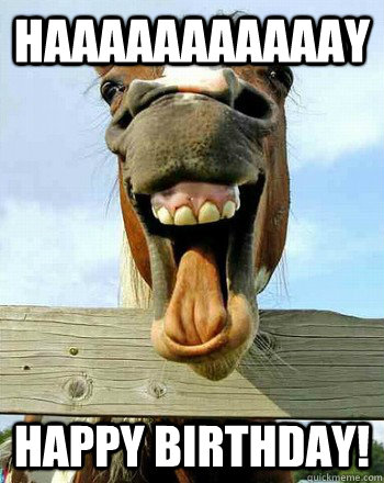 haaaaaaaaaaay happy birthday! - haaaaaaaaaaay happy birthday!  Laughs at Everything Horse