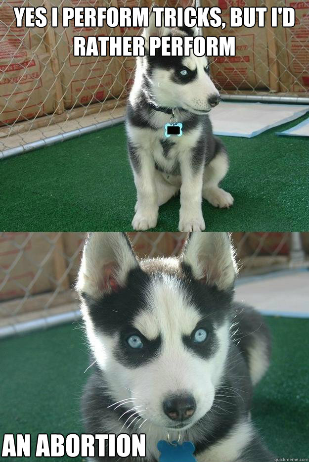 Yes i perform tricks, but i'd rather perform an abortion  Insanity puppy