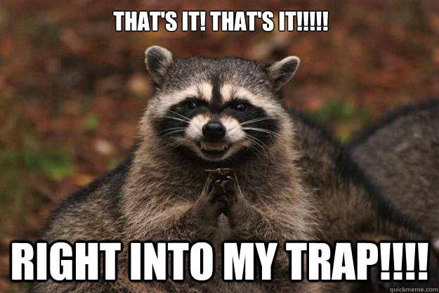That's it! that's it!!!!! Right into my trap!!!!  Evil Plotting Raccoon