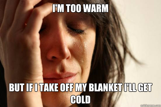 I'm too warm but if I take off my blanket I'll get cold  First World Problems