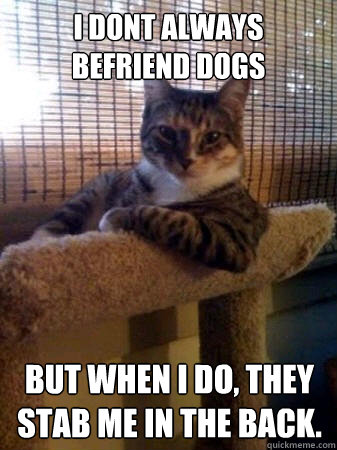 I dont always befriend dogs But when i do, they stab me in the back.  The Most Interesting Cat in the World