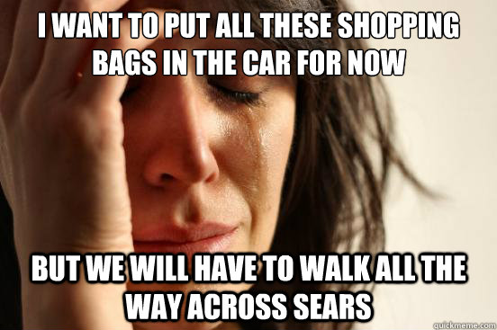 I want to put all these shopping bags in the car for now but we will have to walk all the way across sears  First World Problems