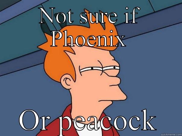 NOT SURE IF PHOENIX OR PEACOCK Futurama Fry