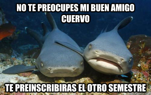 no te preocupes mi buen amigo cuervo te preinscribiras el otro semestre  Compassionate Shark Friend