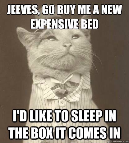 Jeeves, go buy me a new expensive bed   I'd like to sleep in the box it comes in  Aristocat