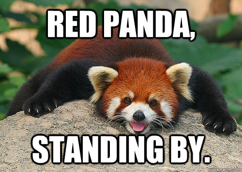 Red Panda, Standing by.  