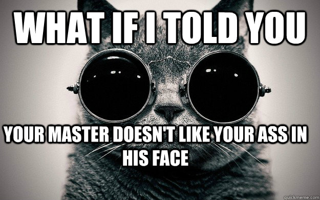 what if I told you your master doesn't like your ass in his face  Morpheus Cat Facts