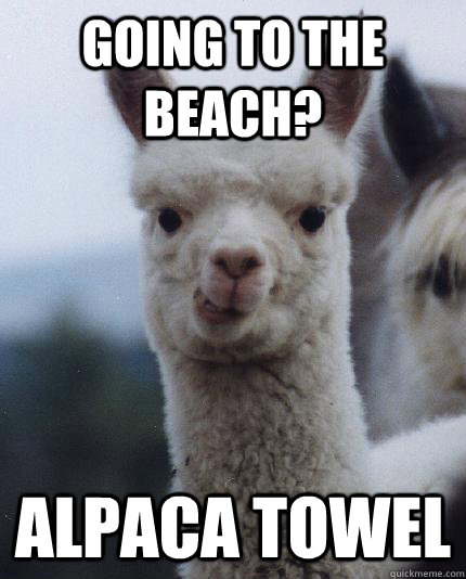 GOING TO THE BEACH? ALPACA TOWEL  ALPACA